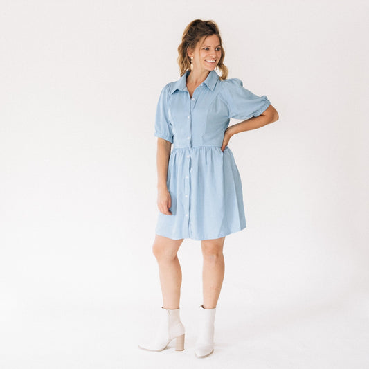 Shimmer Button Down Drop Waist Dress- Women